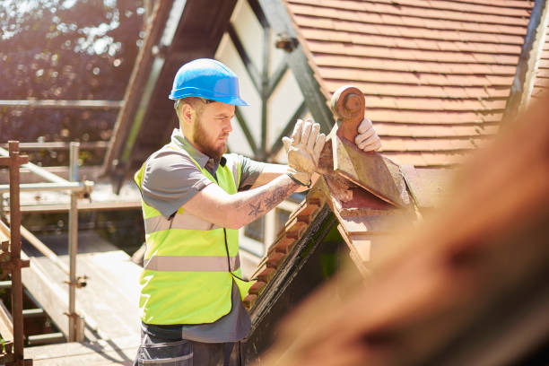 Best Roof Gutter Cleaning  in Ocean City, MD